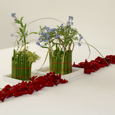 Bunter-lek&nbsp;med&nbsp;primformene